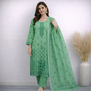 Ladies Organza Stitched Three Piece Set
