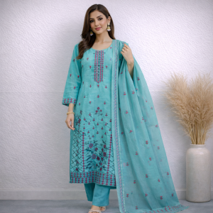 Elegant Organza Stitched Three Piece